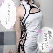 ヒメ日記 2025/07/13 23:52 投稿 わいにゃん☆超絶美少猫☆ 発情期限定!!即ズボ動物愛護団体