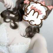 ヒメ日記 2025/08/08 22:29 投稿 わいにゃん☆超絶美少猫☆ 発情期限定!!即ズボ動物愛護団体