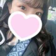 ヒメ日記 2025/08/29 14:06 投稿 わいにゃん☆超絶美少猫☆ 発情期限定!!即ズボ動物愛護団体