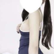 ヒメ日記 2025/12/06 03:06 投稿 わいにゃん☆超絶美少猫☆ 発情期限定!!即ズボ動物愛護団体