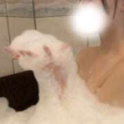 ヒメ日記 2025/11/10 19:38 投稿 ちゃみにゃん☆衝撃の性欲☆ 発情期限定!!即ズボ動物愛護団体