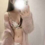 ヒメ日記 2025/09/29 20:43 投稿 かのにゃん☆一度でドはまり☆ 発情期限定!!即ズボ動物愛護団体