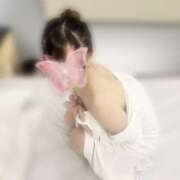 ヒメ日記 2025/11/13 03:04 投稿 るぴにゃん☆スケベロリテク☆ 発情期限定!!即ズボ動物愛護団体