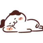 ヒメ日記 2025/05/31 22:00 投稿 とわにゃん☆男の本能を刺激☆ 発情期限定!!即ズボ動物愛護団体