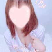 ヒメ日記 2025/10/26 06:47 投稿 とわにゃん☆男の本能を刺激☆ 発情期限定!!即ズボ動物愛護団体