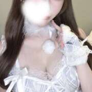 ヒメ日記 2026/01/11 04:44 投稿 さくにゃん☆即惚れ注意☆ 発情期限定!!即ズボ動物愛護団体