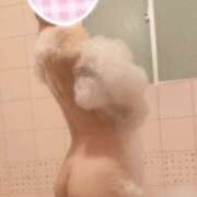 さくにゃん☆即惚れ注意☆ ※無題 発情期限定!!即ズボ動物愛護団体