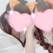 ヒメ日記 2025/08/20 05:05 投稿 しゅんにゃん☆清楚系アイドル☆ 発情期限定!!即ズボ動物愛護団体