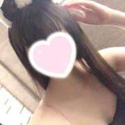 ヒメ日記 2025/11/02 00:13 投稿 とらにゃん☆小悪魔な妹☆ 発情期限定!!即ズボ動物愛護団体