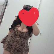 ヒメ日記 2025/12/16 22:30 投稿 りのにゃん☆EX猫嬢☆ 発情期限定!!即ズボ動物愛護団体