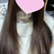 ヒメ日記 2025/07/23 03:13 投稿 ぱめにゃん☆EX猫嬢☆ 発情期限定!!即ズボ動物愛護団体