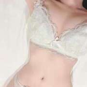 ヒメ日記 2025/12/26 20:12 投稿 ぱめにゃん☆EX猫嬢☆ 発情期限定!!即ズボ動物愛護団体