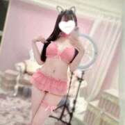 ぱめにゃん☆EX猫嬢☆ ※無題 発情期限定!!即ズボ動物愛護団体