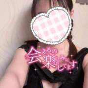 ヒメ日記 2025/06/05 06:52 投稿 ぱりにゃん☆万人が虜に☆ 発情期限定!!即ズボ動物愛護団体