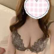 ヒメ日記 2025/06/16 05:47 投稿 ぱりにゃん☆万人が虜に☆ 発情期限定!!即ズボ動物愛護団体