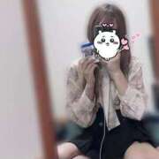 ヒメ日記 2025/08/11 06:02 投稿 ぱりにゃん☆万人が虜に☆ 発情期限定!!即ズボ動物愛護団体