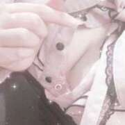 ヒメ日記 2025/08/23 05:40 投稿 ぱりにゃん☆万人が虜に☆ 発情期限定!!即ズボ動物愛護団体