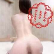 ヒメ日記 2025/12/24 02:05 投稿 ちろにゃん☆初恋の心地よさ☆ 発情期限定!!即ズボ動物愛護団体