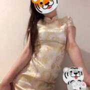 ヒメ日記 2025/06/23 03:54 投稿 まよにゃん☆メロメロ恋愛方程式☆ 発情期限定!!即ズボ動物愛護団体