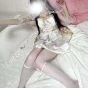 ヒメ日記 2026/01/01 10:23 投稿 まよにゃん☆メロメロ恋愛方程式☆ 発情期限定!!即ズボ動物愛護団体