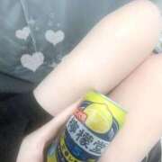 ヒメ日記 2025/06/02 17:15 投稿 ののにゃん☆感度120％☆ 発情期限定!!即ズボ動物愛護団体