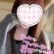 ヒメ日記 2025/06/02 02:00 投稿 らむにゃん★EX猫嬢★ 発情期限定!!即ズボ動物愛護団体