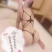 ヒメ日記 2025/12/27 23:32 投稿 らむにゃん★EX猫嬢★ 発情期限定!!即ズボ動物愛護団体