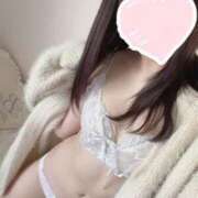 ヒメ日記 2025/09/30 17:55 投稿 あんにゃん☆淑女の品格☆ 発情期限定!!即ズボ動物愛護団体