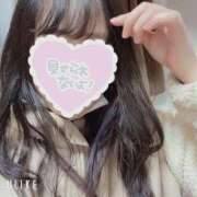 ヒメ日記 2025/12/14 22:25 投稿 あんにゃん☆淑女の品格☆ 発情期限定!!即ズボ動物愛護団体