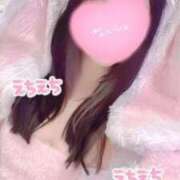 ヒメ日記 2026/02/07 21:46 投稿 あんにゃん☆淑女の品格☆ 発情期限定!!即ズボ動物愛護団体