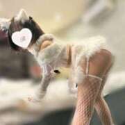 ヒメ日記 2025/07/21 22:19 投稿 ききにゃん☆清楚純情乙女猫☆ 発情期限定!!即ズボ動物愛護団体