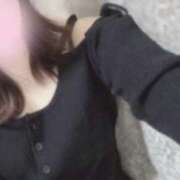 ヒメ日記 2025/10/01 00:10 投稿 ききにゃん☆清楚純情乙女猫☆ 発情期限定!!即ズボ動物愛護団体