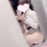 ヒメ日記 2025/10/19 05:18 投稿 ききにゃん☆清楚純情乙女猫☆ 発情期限定!!即ズボ動物愛護団体