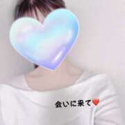 ヒメ日記 2025/12/02 21:07 投稿 ききにゃん☆清楚純情乙女猫☆ 発情期限定!!即ズボ動物愛護団体