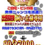 ヒメ日記 2026/08/20 03:27 投稿 ききにゃん☆清楚純情乙女猫☆ 発情期限定!!即ズボ動物愛護団体