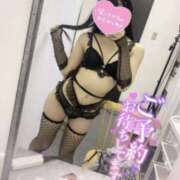 ヒメ日記 2025/10/15 00:25 投稿 ななにゃん☆連続イキ狂い☆ 発情期限定!!即ズボ動物愛護団体