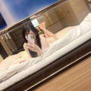 ヒメ日記 2025/12/12 16:45 投稿 ななにゃん☆連続イキ狂い☆ 発情期限定!!即ズボ動物愛護団体