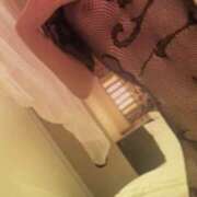 ヒメ日記 2026/03/17 21:13 投稿 ふぇあにゃん☆EX猫嬢☆ 発情期限定!!即ズボ動物愛護団体