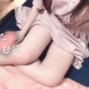 ヒメ日記 2025/06/04 02:01 投稿 いんにゃん☆エンジェル桃乳☆ 発情期限定!!即ズボ動物愛護団体