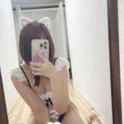 ヒメ日記 2025/12/15 04:26 投稿 いんにゃん☆エンジェル桃乳☆ 発情期限定!!即ズボ動物愛護団体