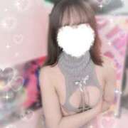 ヒメ日記 2025/06/08 16:54 投稿 てちにゃん☆魔性の清楚ガール☆ 発情期限定!!即ズボ動物愛護団体