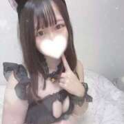 ヒメ日記 2025/07/17 05:44 投稿 てちにゃん☆魔性の清楚ガール☆ 発情期限定!!即ズボ動物愛護団体