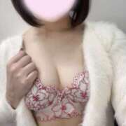 ヒメ日記 2026/03/30 04:39 投稿 すずにゃん☆国宝級の美乳☆ 発情期限定!!即ズボ動物愛護団体