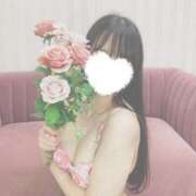 ヒメ日記 2025/11/14 03:36 投稿 ぽむにゃん☆ピュアなご奉仕☆ 発情期限定!!即ズボ動物愛護団体