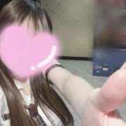 ヒメ日記 2025/11/16 04:13 投稿 ぽむにゃん☆ピュアなご奉仕☆ 発情期限定!!即ズボ動物愛護団体