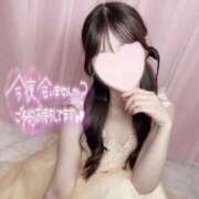 ヒメ日記 2026/02/06 01:33 投稿 ぽむにゃん☆ピュアなご奉仕☆ 発情期限定!!即ズボ動物愛護団体