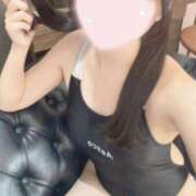 ヒメ日記 2025/11/26 01:02 投稿 まくらにゃん☆伸びしろ抜群☆ 発情期限定!!即ズボ動物愛護団体