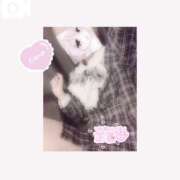 ヒメ日記 2025/06/06 19:01 投稿 うた Jewelry club（ジュエリークラブ）