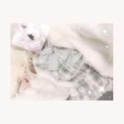 ヒメ日記 2025/08/12 15:17 投稿 うた Jewelry club（ジュエリークラブ）