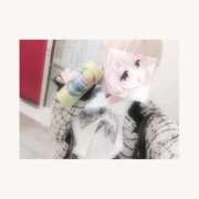 ヒメ日記 2025/11/23 14:14 投稿 うた Jewelry club（ジュエリークラブ）